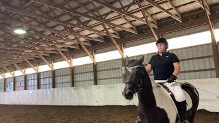 Famous Alison McKinnon Walk Trot Test B Wealth