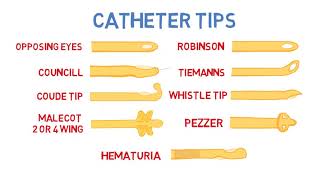 Introduction to Urinary Catheters