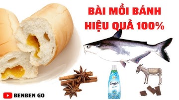 Mồi bánh trộn câu cá tra hồ dịch vụ | Bai moi banh cau ca tra | Benben Go