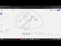 BST Part 2 – الرسم من العناصر + Traversal