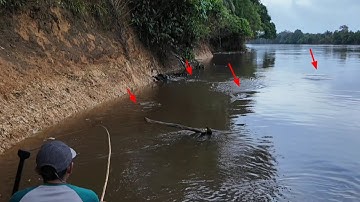 2 HARI MANCING IKAN HAMPALA SETELAH BANJIR 