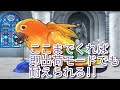 ＃23 ここまでくれば即出荷モードでも!!『おかめいんこRPG(即出荷モード)』　セザキングのゲーム実況