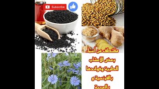 مقتطف من اسماء بعض الأعشاب الطبية بالعربية والفرنسية اوفواءدها /طبيب الأعشاب
