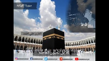 كَلاَّ بَلْ تُحِبُّونَ الْعَاجِلَةَ (سورة القيامه)