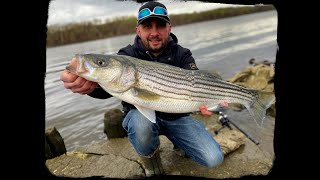 Striped Bass Fishing Hudson River