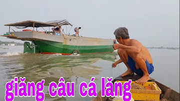 Canh Me Con Nước Chuyển Màu Giăng Câu Mồi Ốc Bươu Vàng Bắt Cá Lăng # SĂN BẮT ĐỒNG THÁP #