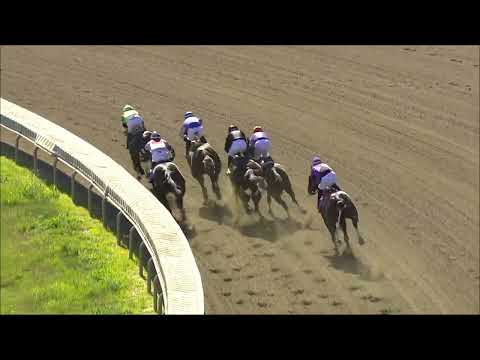 video thumbnail for MONMOUTH PARK 08-15-22 RACE 6