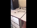 Enter the Description