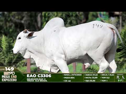 LOTE 149