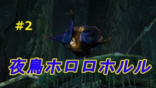 Mhx実況 2 村クエ 4緊急夜鳥ホロロホルル討伐 モンハンクロス Youtube