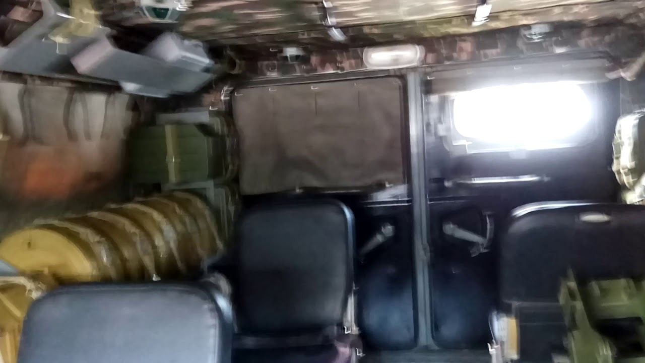 Тигр внутри автомобиль