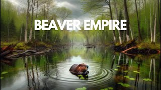 Beaver Empire: Discovering the Majestic Home of a Busy Builder