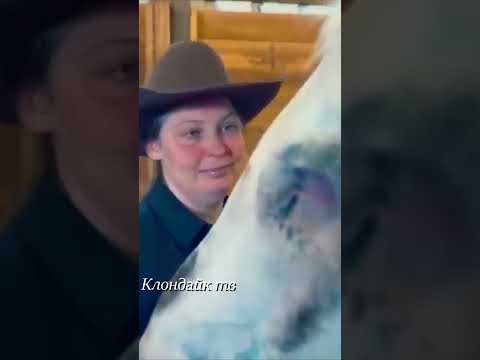 Лошадь без глаз.