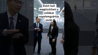 Ezért kell megtisztítani a cellákat napelemgyártás során #hogyankeszul #napelem #gyártás #tongwei