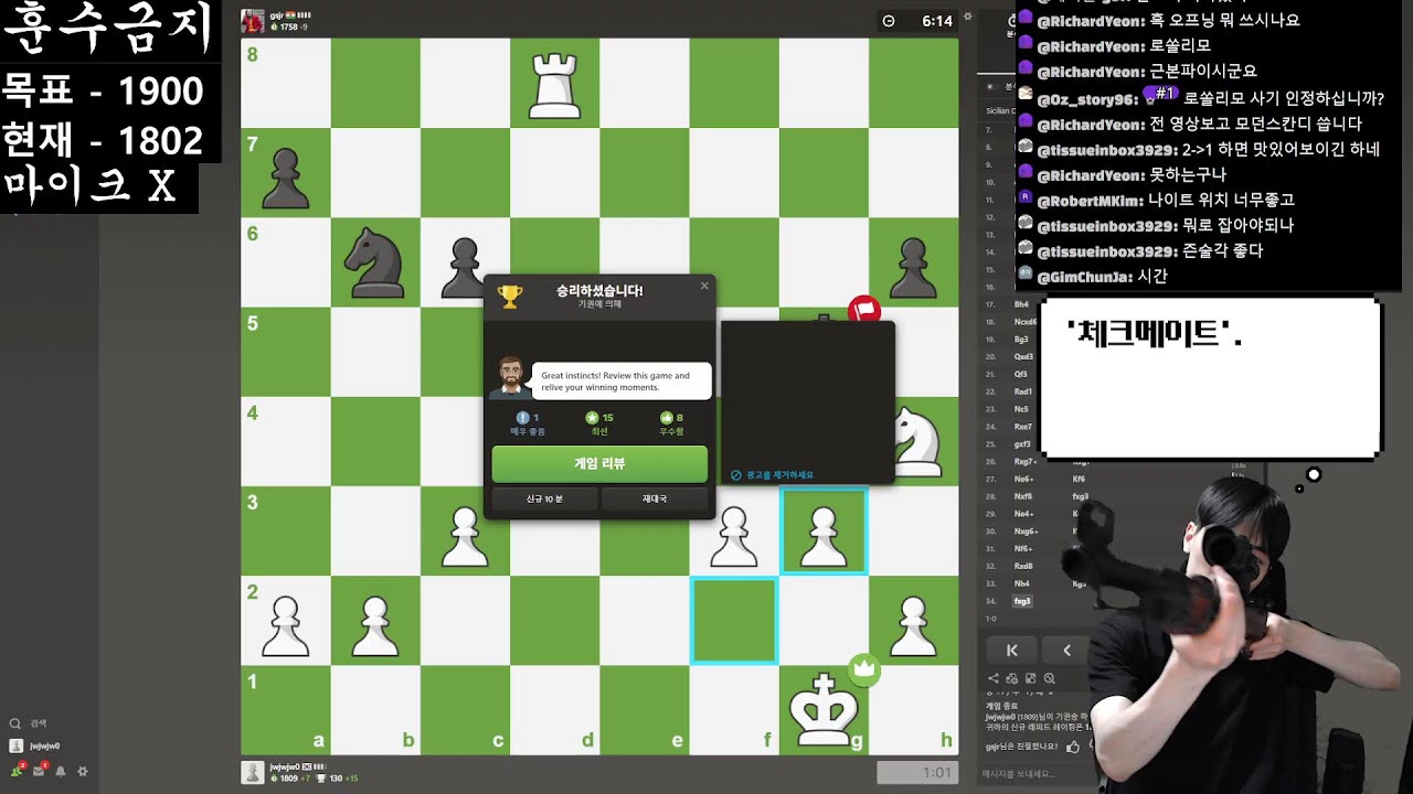 고독한 체스 방송