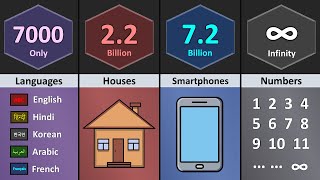 How Many Things on Earth | Part-2 Net Worth