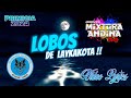 LOBOS DE LAYKAKOTA (BAJO LA LUNA) - VIDEO LYRICS - MIXTURA ANDINA