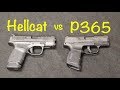 Springfield Hellcat vs Sig P365