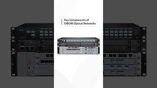 DWDM Core Components Explained | FS