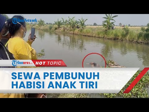 Video: Putri Serigala Yellowstone Terkenal Dibunuh Oleh Pemburu, Berbagi Nasib Dengan Ibu