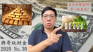 興哥玩財金NO.30這一批美金好便宜啊?囤美元還是黃金?(ETF,存股,原油)
