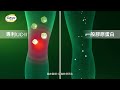 Caltrate 佳存專利UC-II &mdash; 從痛點修復受損關節【完整版】