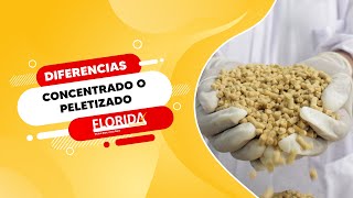 DIFERENCIA ENTRE CONCENTRADO Y PELETIZADO