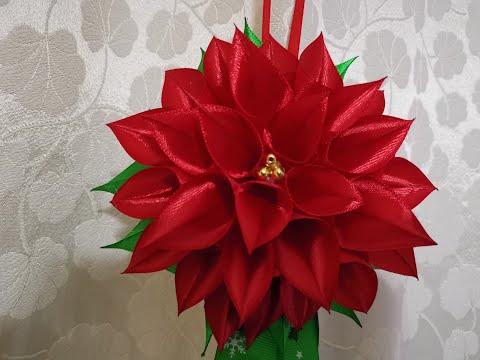 Βίντεο: Poinsettia - Χριστουγεννιάτικο λουλούδι