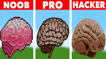 Pixel Art (NOOB VS PRO VS HACKER) Brain in Minecraft