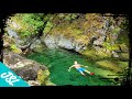 Opal Creek and Three Pools - Oregon Swimming Hole Cliff Jumps  - PNW Adventures