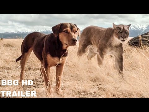 A DOG’S WAY