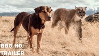 A Dogs Way Home - Official Trailer 2019 Family Movie Hd