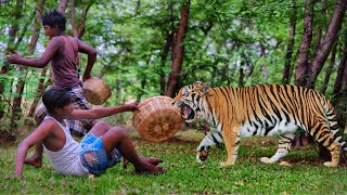 tiger attack in the jungle🌲| royal bengal tiger attack. tiger attack man in forest by Crazy Life Entertainment 8,384 views 3 weeks ago 5 minutes, 4 seconds