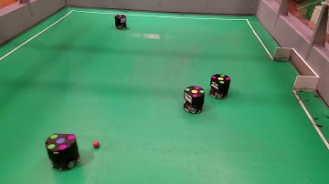 Autonomous Soccer Robot