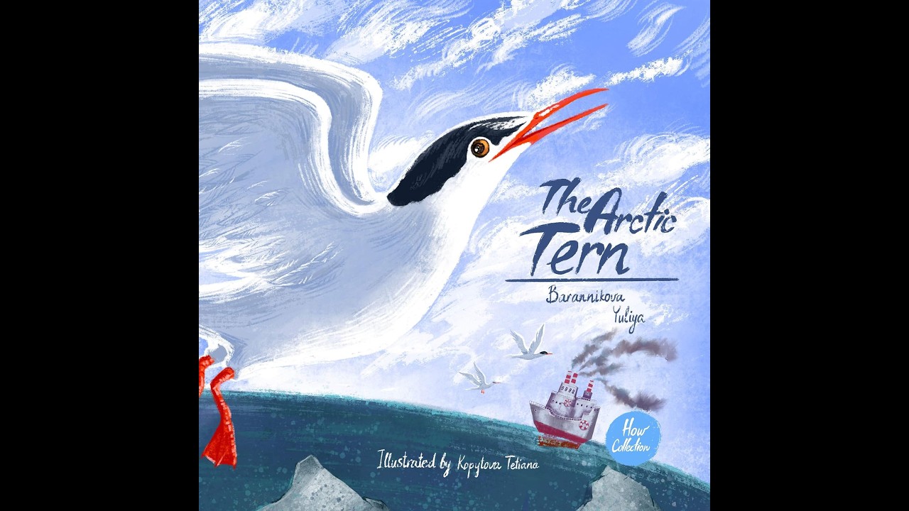 The Arctic Tern - Read Aloud - YouTube