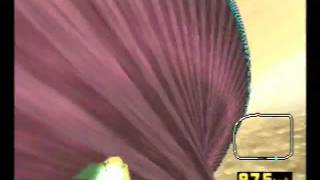 F-Zero PXB 2 Preview