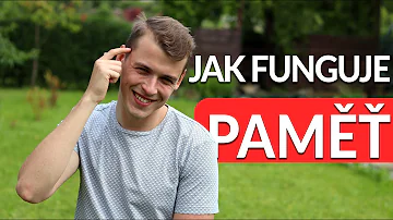Co je paměť?