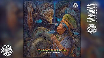 The Hierophants (Via Axis , Purist and Yachay ) - Swamp Encounter