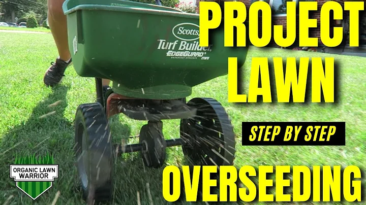 Overseed Project Lawn, Fix an Ugly Lawn with Overseeding, Step by Step Guide to OVERSEEDING