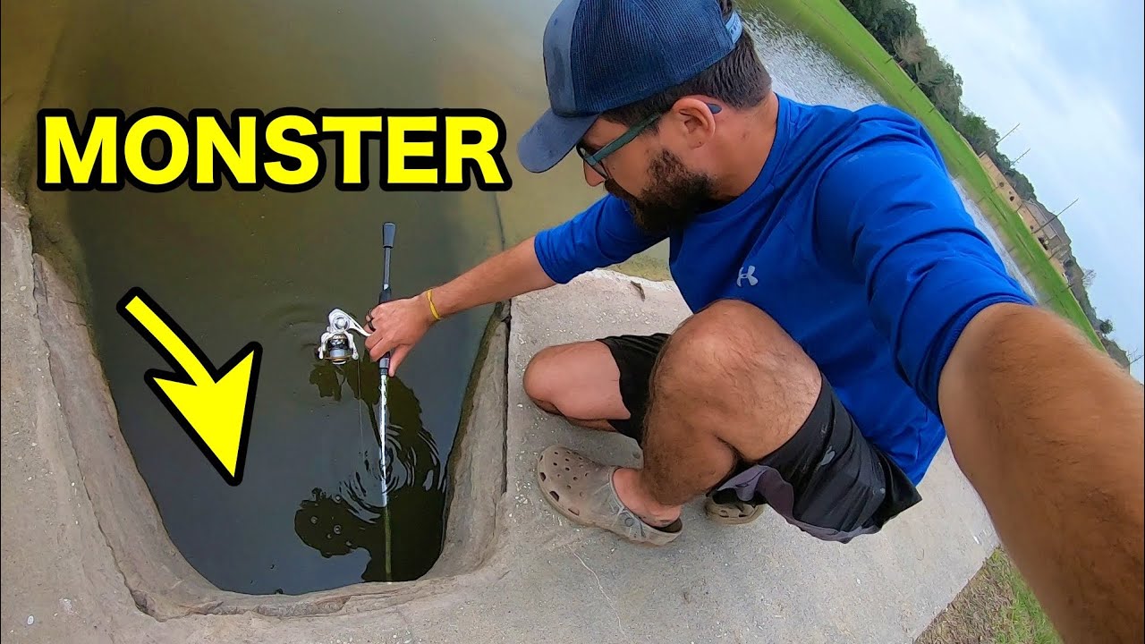 NOODLING for MONSTER LARGEMOUTH BASS?!