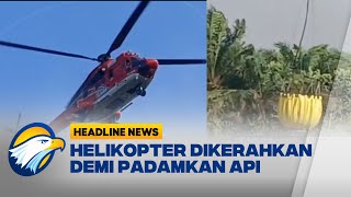 Kebakaran Hutan dan Lahan di Dumai Terus Meluas