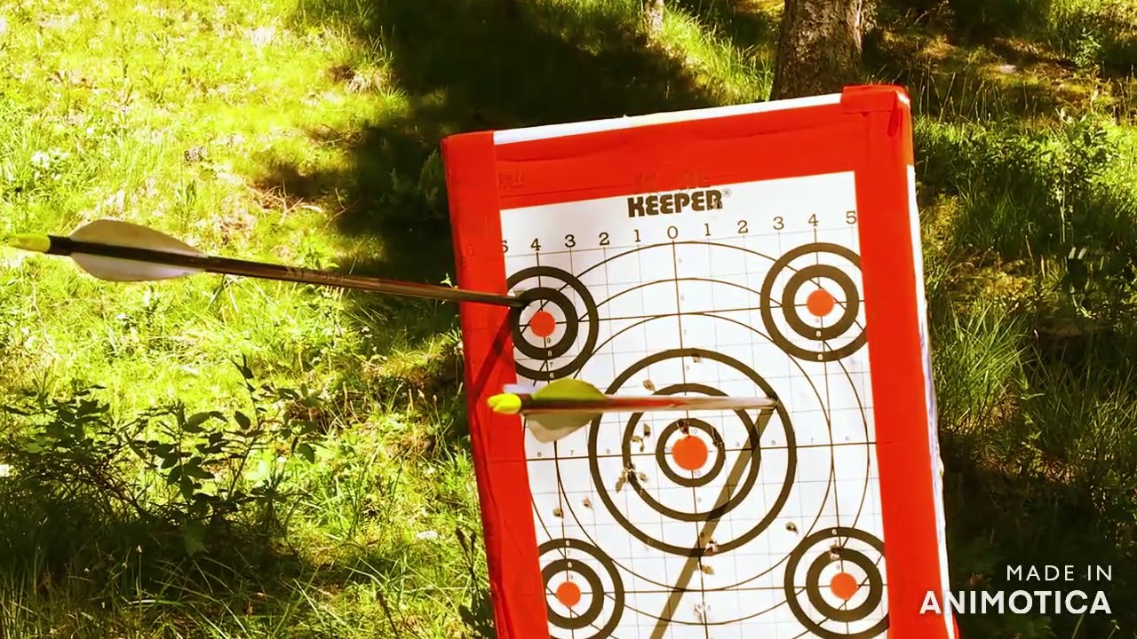 bowtech insanity cpx