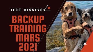 Dogtraining - Backup - Team Bissevov