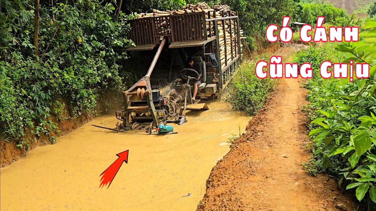 Xe độ chở gỗ vượt qua vũng nước như tàu ngầm | Khó tin là thoát khỏi vũng bùn