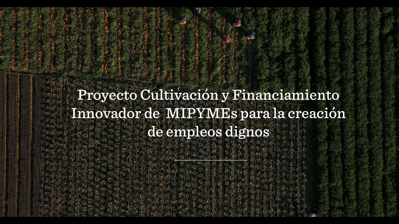Proyecto Cultivación y Financiamiento Innovador de MIPYMEs para la creación de empleos dignos