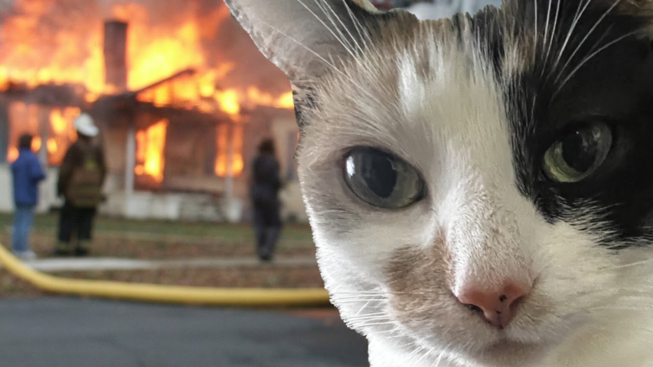 Minecraft skyblock with over 200+ mods - YouTube