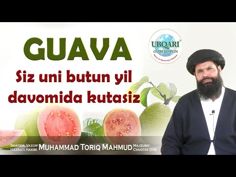 Video: Guavalarni yupqalash kerakmi: guava mevasini yupqalashning foydalari
