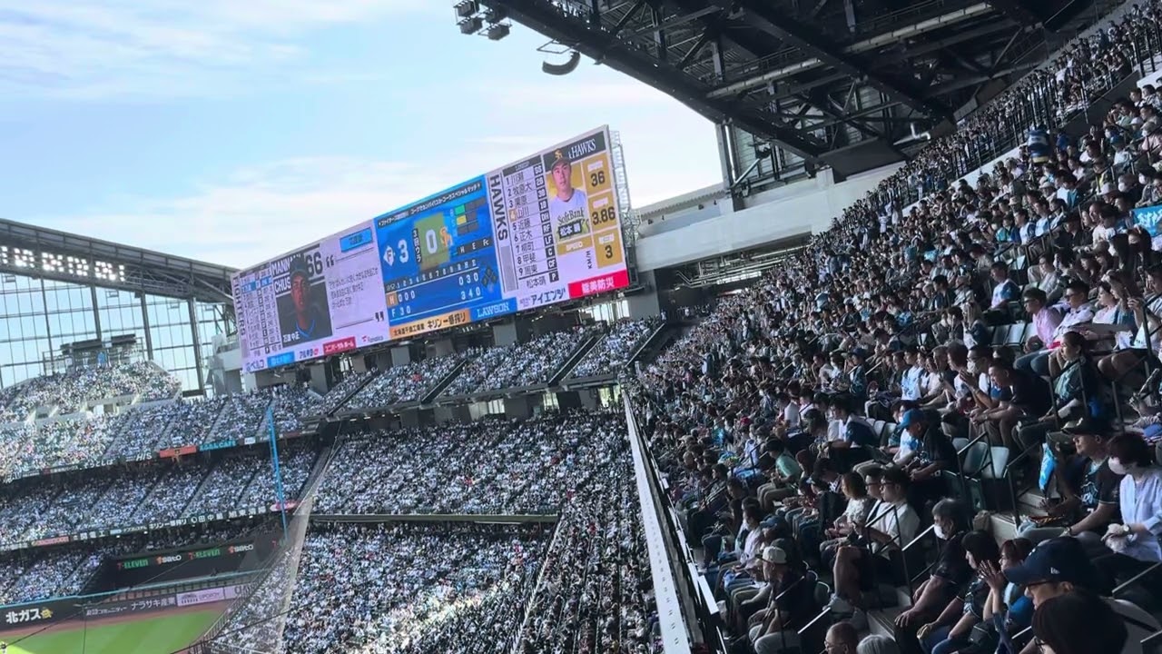 【応援歌】2024 万波中正 北海道日本ハムファイターズ 概要欄歌詞付