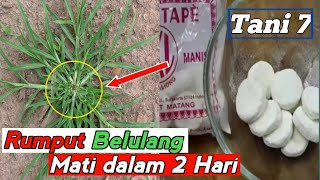 JUST ONE SPRAY! Destroys weeds to the root, weed killer | Tani 7