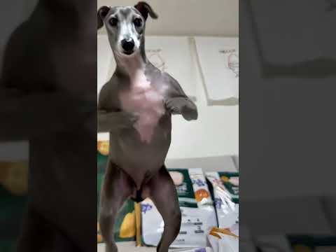 이거 해 보라고 한 애 누구냐 